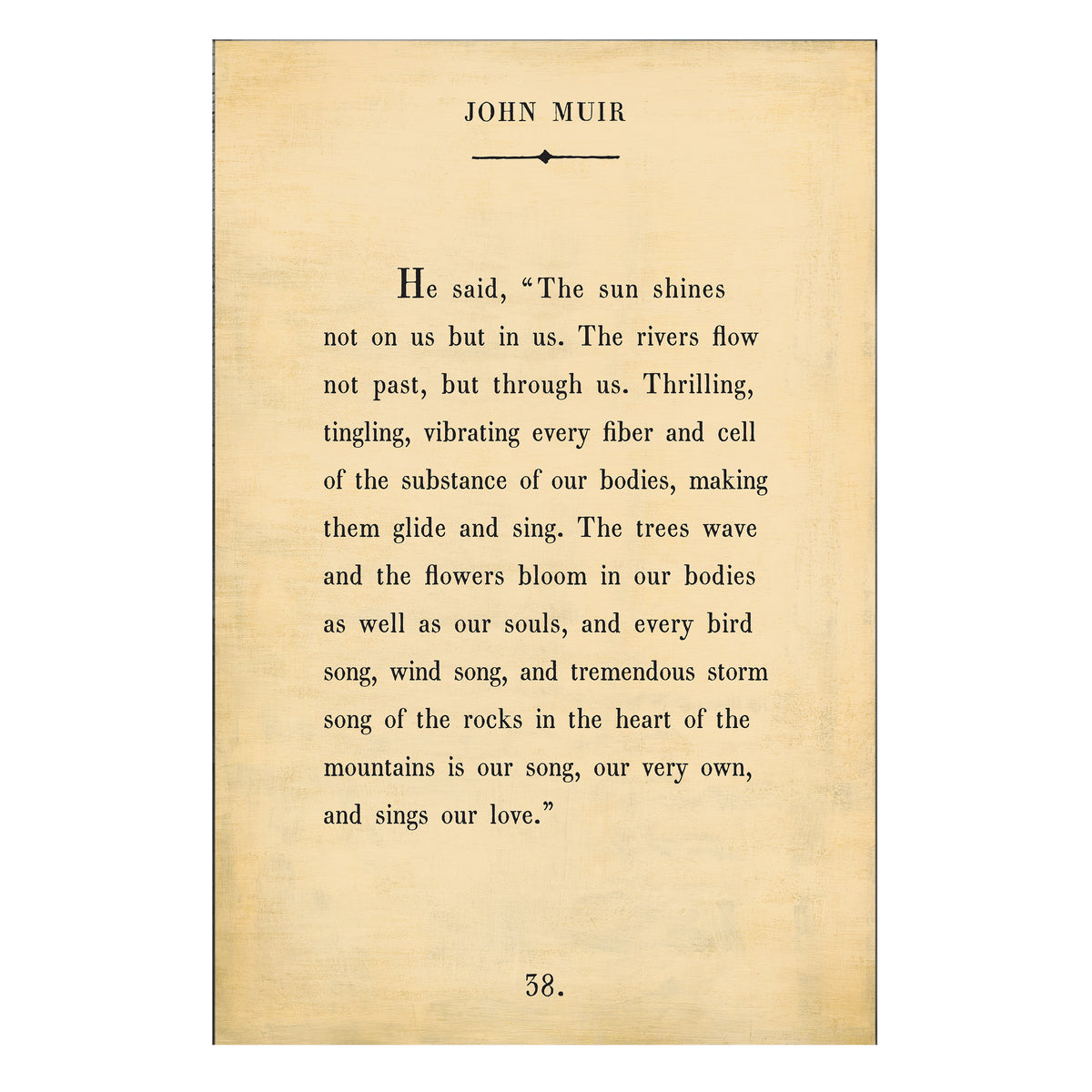 John Muir Art Print - Book Collection