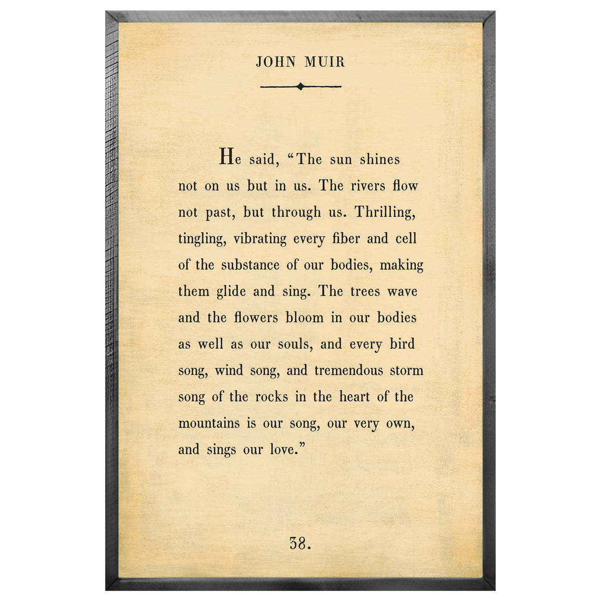 John Muir Art Print - Grey Wood