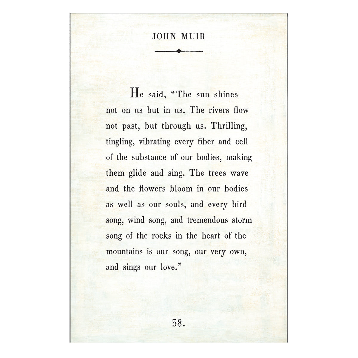 John Muir Art Print - Book Collection