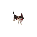 Felt Dashing Brown & White Dog with Stocking Ornament