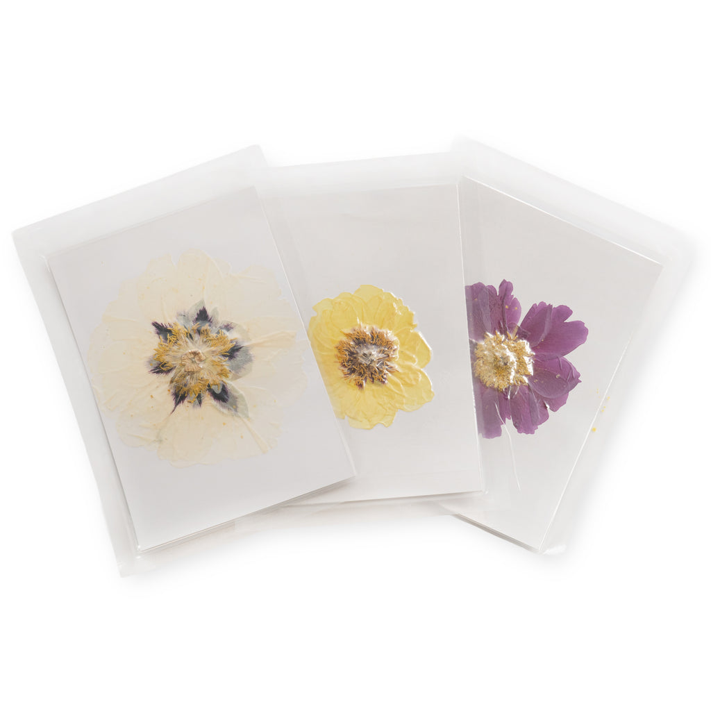 Peony Large Pressed Botanical