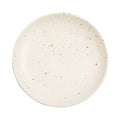 Speckled Ceramic Tapas Plate