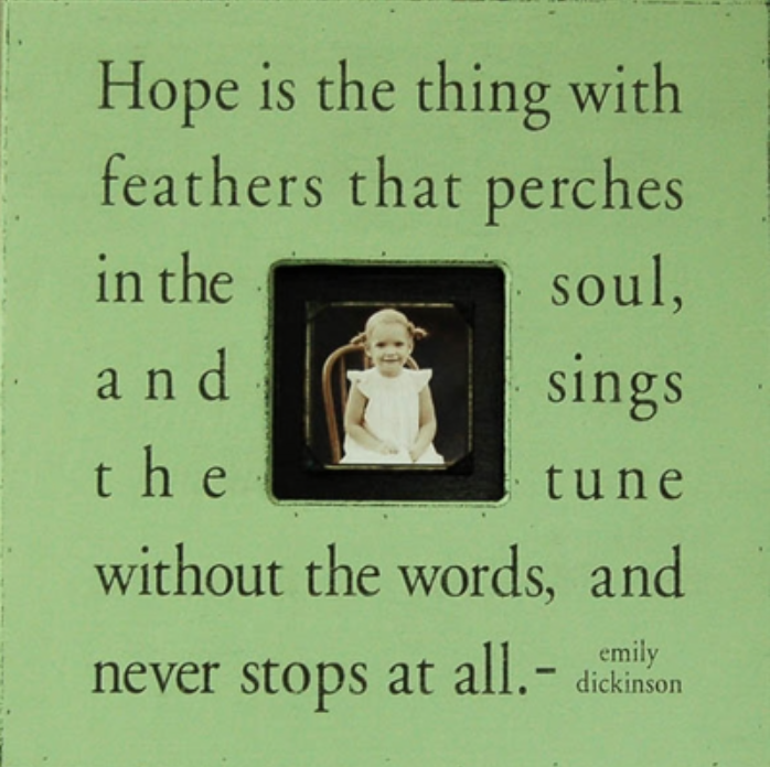 Hope is the Thing Photobox