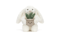 Cream Bunny with Plant
