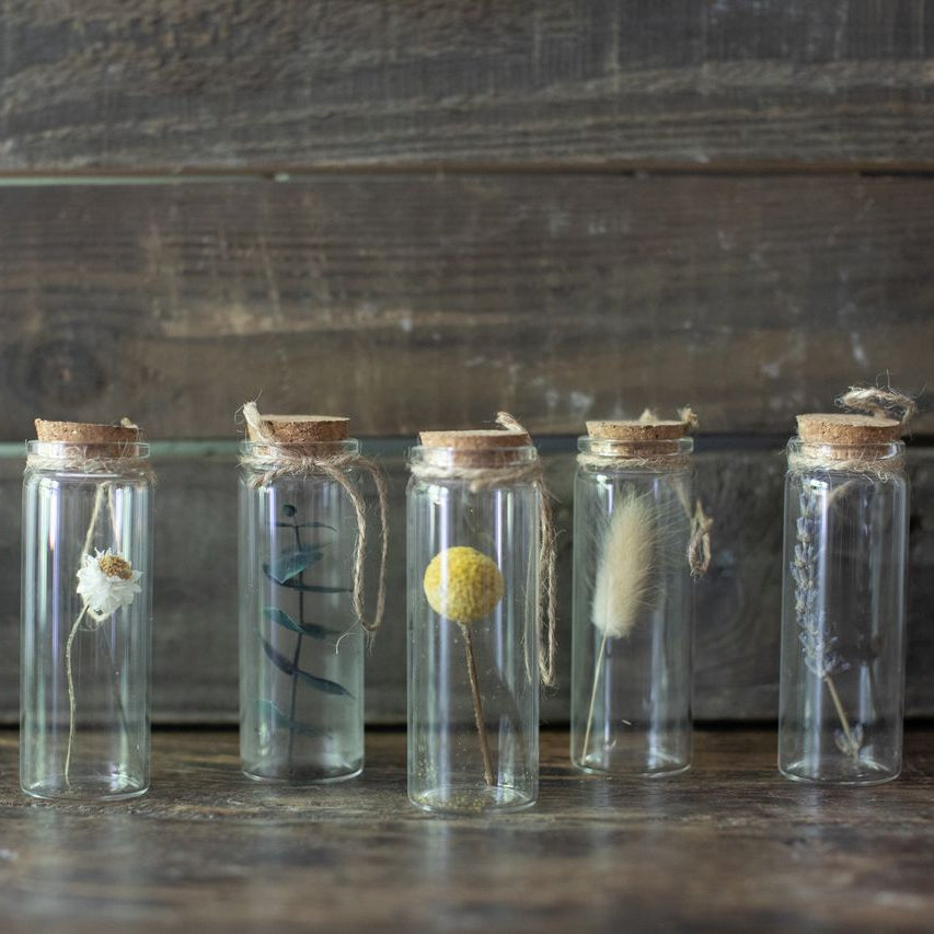 Dried Botanical Bottles with Cork & Twine