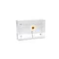 Acrylic Standing Frame 2x3