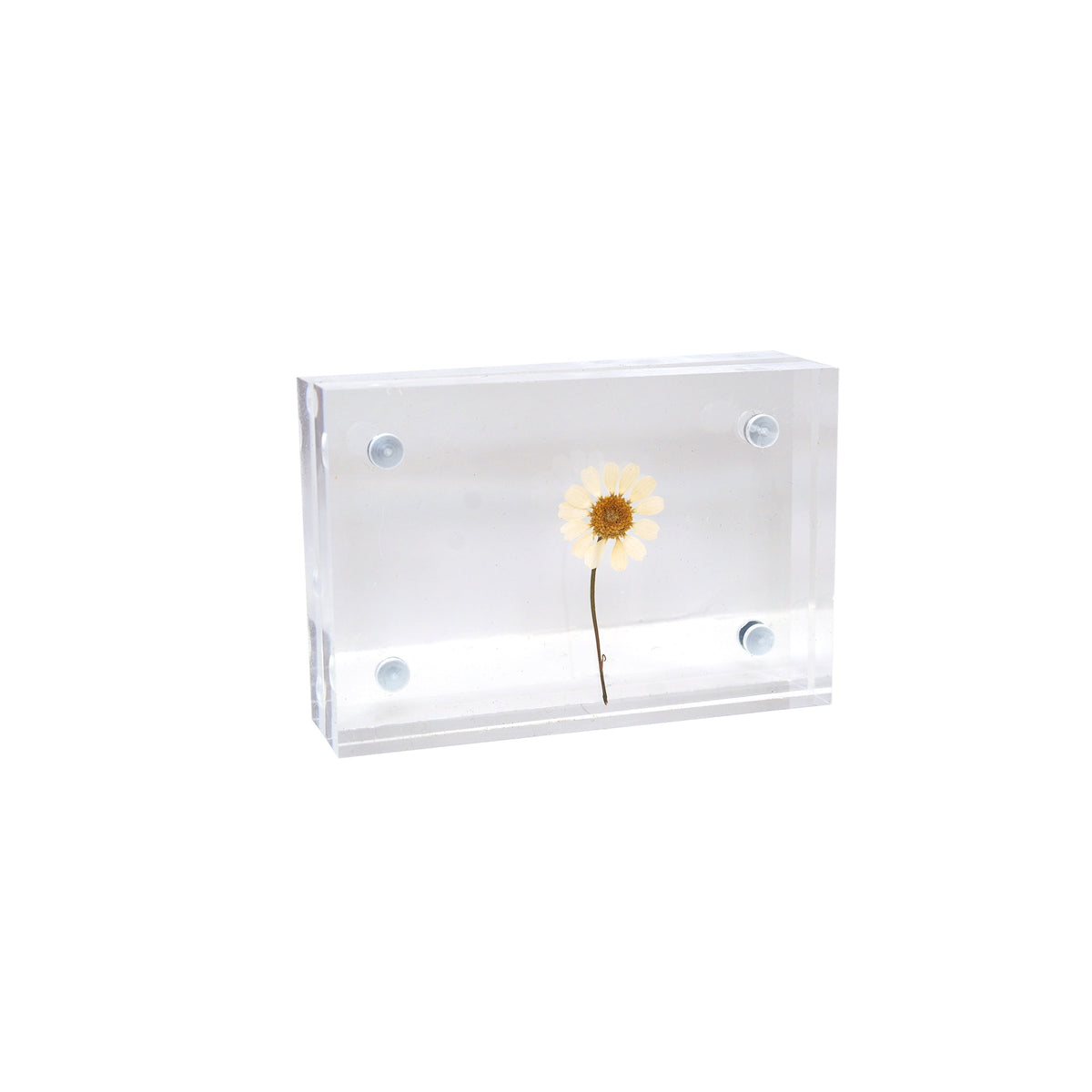 Acrylic Frames