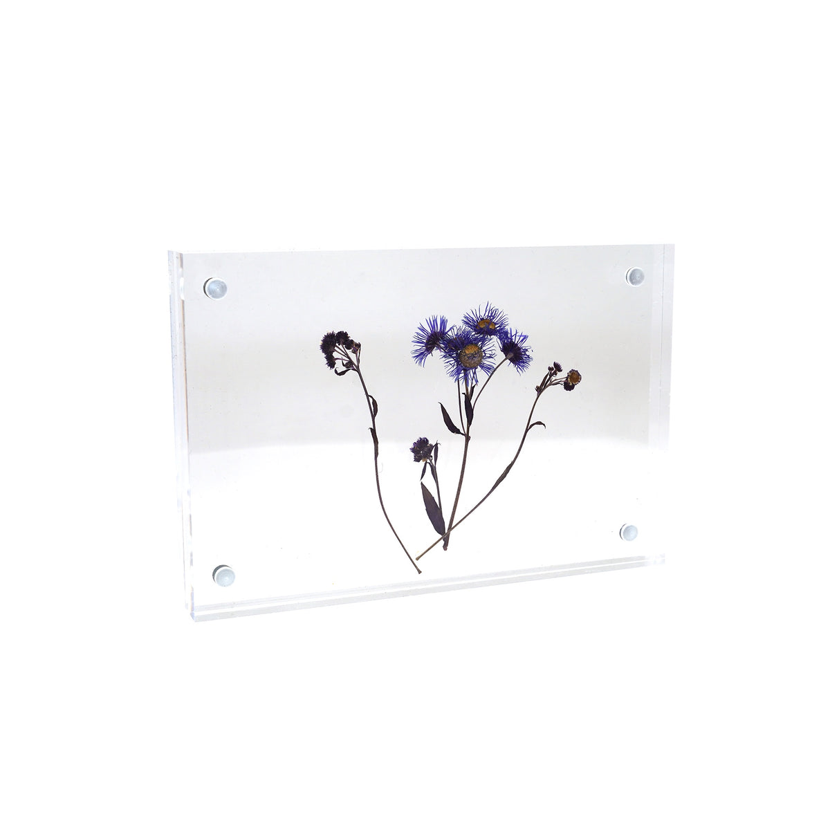 Acrylic Frames