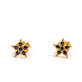 ***Mini Black Spinel Gold Plated Star Studs