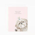 Birthday is the Shihtz