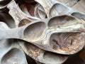 3 Section Dish With Handle