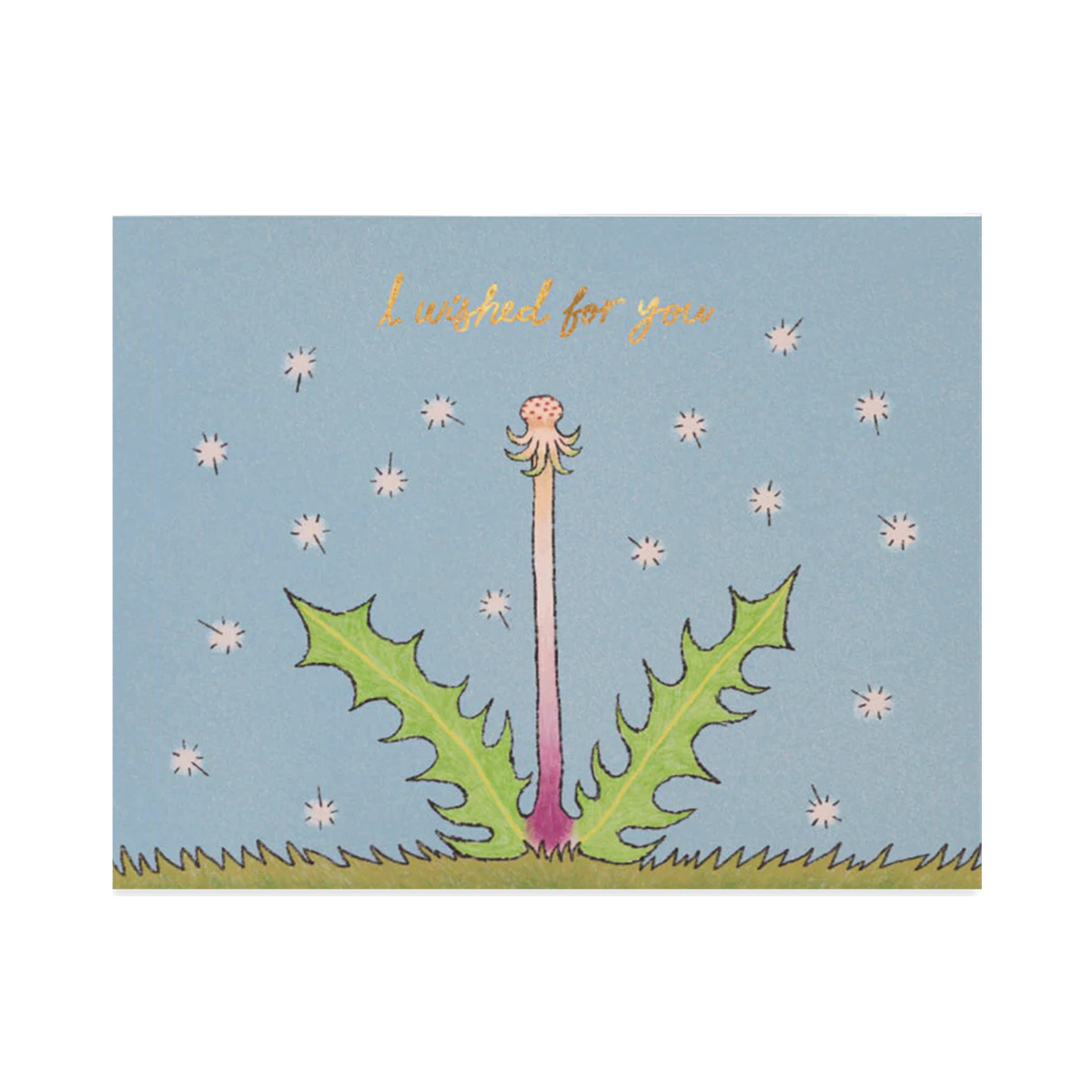 Wished for You
