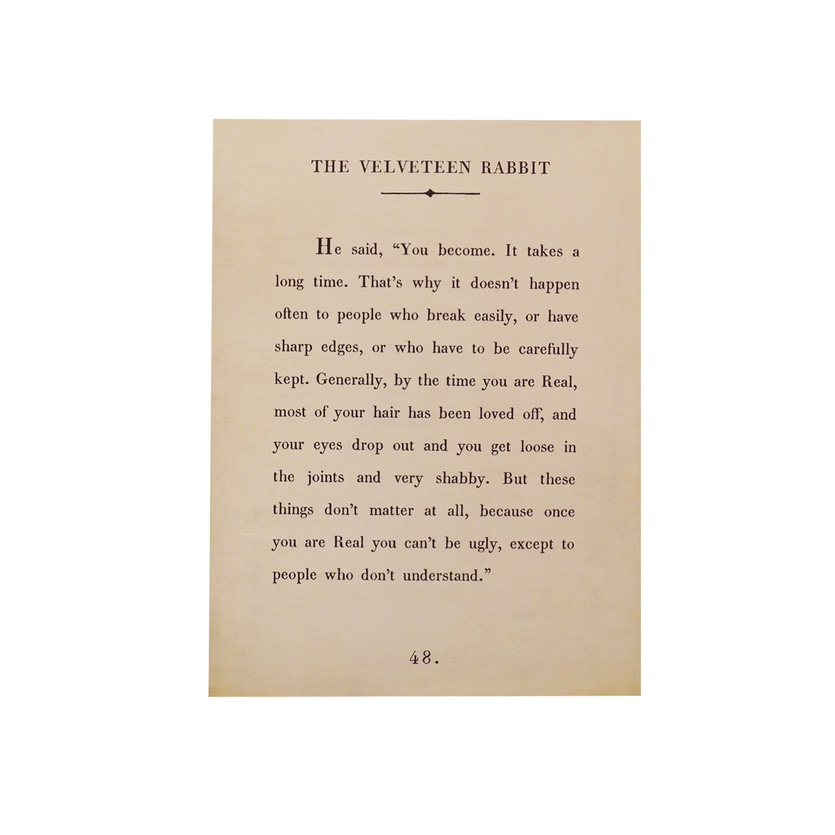 The Velveteen Rabbit Art Poster - Book Collection