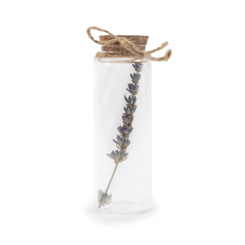 Dried Botanical Bottles with Cork & Twine